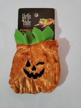 Thrills &amp; Chills Collection Reptile Halloween Costume Pumpkin Ideal For Bearded - £7.82 GBP