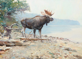 Framed canvas art print Giclée Moose at Lake McDonald PHILIP R. GOODWIN - £29.58 GBP+