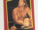 Southern Boys WCW Trading Card World Championship Wrestling 1991 #135 - $1.97