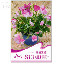 Sweet Pea Flower Seeds 15 Seeds Potted Pink Sweet Pea Shaped Like A Butterfly A1 - $9.97