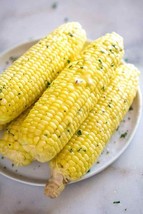 MBK Corn Sweet Golden Bantam Heirloom 710 80 Days 42 Seeds Groco Fresh G... - $163.71 MXN