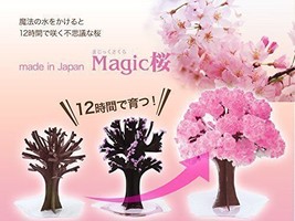 Magic cherry blossom Magic cherry blossom growing up in Mokomoko like a real che - £20.16 GBP