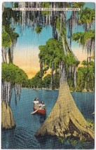 Postcard Canoeing In Florida&#39;s Cypress Gardens - £3.17 GBP