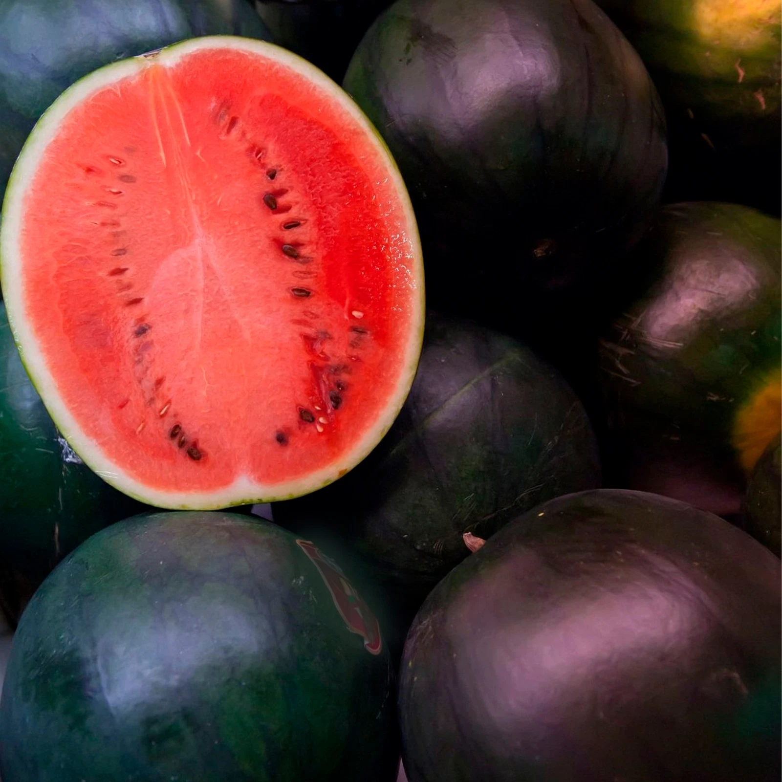 50 Black Diamond Watermelon Seeds Non-GMO Heirloom Premium BTGO 75% OFF - $11.77