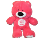 14&quot; GREAT WOLF LODGE FIESTA PINK CORAL TEDDY BEAR STUFFED ANIMAL LOGO PL... - $10.80
