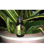 doTERRA Basil 15 mL Essential Oil  NEW &amp; SEALED Exp 6/27 - $37.38