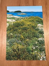 Vintage Postcard, SKÄRGARDSHAVET / SAARISTOMERI / Archipelago Sea, Finland - $4.75