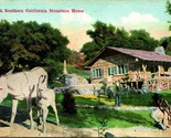 Vtg Cartolina 1910s - Un Sud California Mountain Home - Van Ornum Pub No... - $25.55