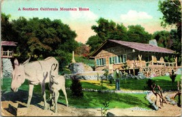 Vtg Cartolina 1910s - Un Sud California Mountain Home - Van Ornum Pub Non Usato - £20.07 GBP