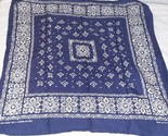 Vintage Fast Color Blue/White Cotton Handkerchief Bandana RN 13962 20&quot;x20&quot; - $17.00