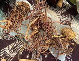 .5 oz Aster Root, Keep Away Evil Spirits, Clear Stagnation, Ward Off Bad... - $2.70