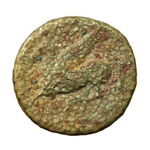 Ancient Greek Coin Agathokles Syracuse Sicily AE17mm Apollo / Pegasus 01931 - $22.49
