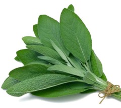 90 Broadleaf Sage Culinary Herb Seeds - £16.00 GBP