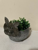 Pig Planter with Greens - £20.92 GBP