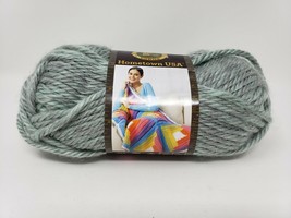 Lion Brand Hometown Yarn Skein - New - Fayetteville Frost - £8.59 GBP