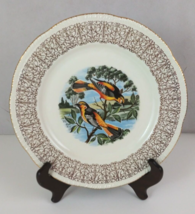 Homer Laughlin Baltimore Oriole Bird 10” Decorative Plate Gilded Filigre... - $220.13 MXN