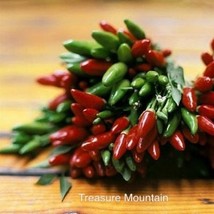 Serrano Chili Pepper Seeds Pack 100 Seeds Bright Small Red Green Pepper Edible N - $11.74