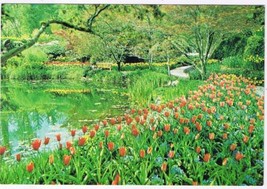 British Columbia BC Postcard Victoria Butchart Gardens Tulips Sunken Lake  - $2.16