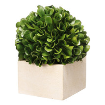 A&amp;B Home 5.5&quot; Artificial Petite Boxwood Boxed Topiary - £19.95 GBP