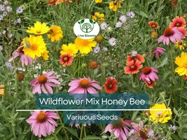 500 Seeds Wildflower Mix Honey Bee Heirloom Flowers Pollinators Non-GMO,... - $10.79