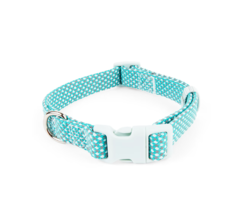 YOULY The Protector Teal Reflective Dog Collar, Medium - £10.25 GBP
