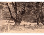 Scene on Raisin River Adrian Michigan MI 1908 DB Postcard O4 - $9.85
