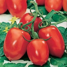 JGBOS Sell 60 Roma Tomato Seeds Heirloom Organic Non Gmofresh - £7.12 GBP