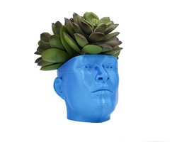 The &quot;POT HEAD&quot; Succulent Planter Vase | Plant your own Hairstyle - £6.39 GBP