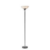 Adesso Home 5120-01 Transitional Two Light Floor Lamp from Metropolis Collection - $133.94