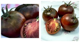 100+ Black Prince Tomato Seeds Indeterminate Vegetable Garden Free Shipping - £14.89 GBP