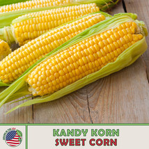 25 Kandy Korn Sweet Corn Seeds New Fresh Seeds - $7.98