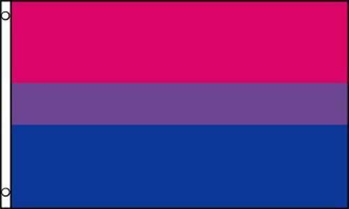 BI PRIDE 3 X 5 FLAG 3x5 decor sign BANNER FL635 rainbow strips gay bi se... - $6.64