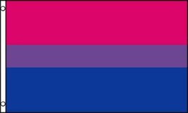 BI PRIDE 3 X 5 FLAG 3x5 decor sign BANNER FL635 rainbow strips gay bi sexual new - £5.22 GBP