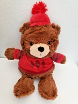 Target Wondershop 2021 Animal Adventure Bear Plush Stuffed Toy Red Sweater Hat - £15.46 GBP