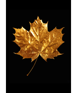 &quot;Golden Leaf: Elegance in Contrast&quot; - $17.00