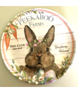 Easter Bunny 10.5&quot; Melamine Dinner Plates Peekaboo Farms Every Bunny Wel... - £34.94 GBP