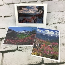 Scenic Notecards Mountains Of Oregon Washington Lot-3 Blank Inside W/Envelopes - £7.75 GBP