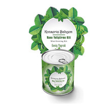 My Canned Garden Seedling Growing Kit Mint - £21.55 GBP