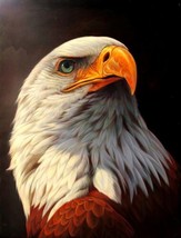Bald Eagle Portraits Oil painting Giclee Art Printed on canvas - £6.84 GBP+