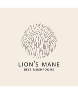 Ward&#39;s Mushroom Coffee - Lion&#39;s Mane + Turkey Tail -Arabica Coffee 12oz ... - $34.53 CAD