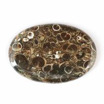 DVG Sale 52.15 Carats 100% Natural Turritella Agate Oval Cabochon Fine Quality G - £11.94 GBP