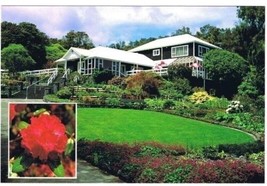 New Plymouth New Zealand Postcard Pukeiti Rhododendron Trust Noyo Chief - $2.15