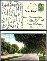 1946 FLORIDA Postcard - Jensen Beach to Amsterdam, NY J13 - £1.57 GBP