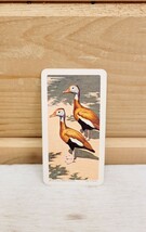 Red Rose Tea Mini Trade Card 2&quot; x 1&quot; Vintage 1963 S6N5 Tree Duck Birds - $28.02 CAD