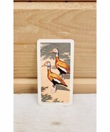 Red Rose Tea Mini Trade Card 2&quot; x 1&quot; Vintage 1963 S6N5 Tree Duck Birds - $19.99