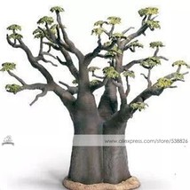 1 2 seeds / pack, Adansonia African Baobab Bonsai Upside Down Tree Seed ... - £15.69 GBP
