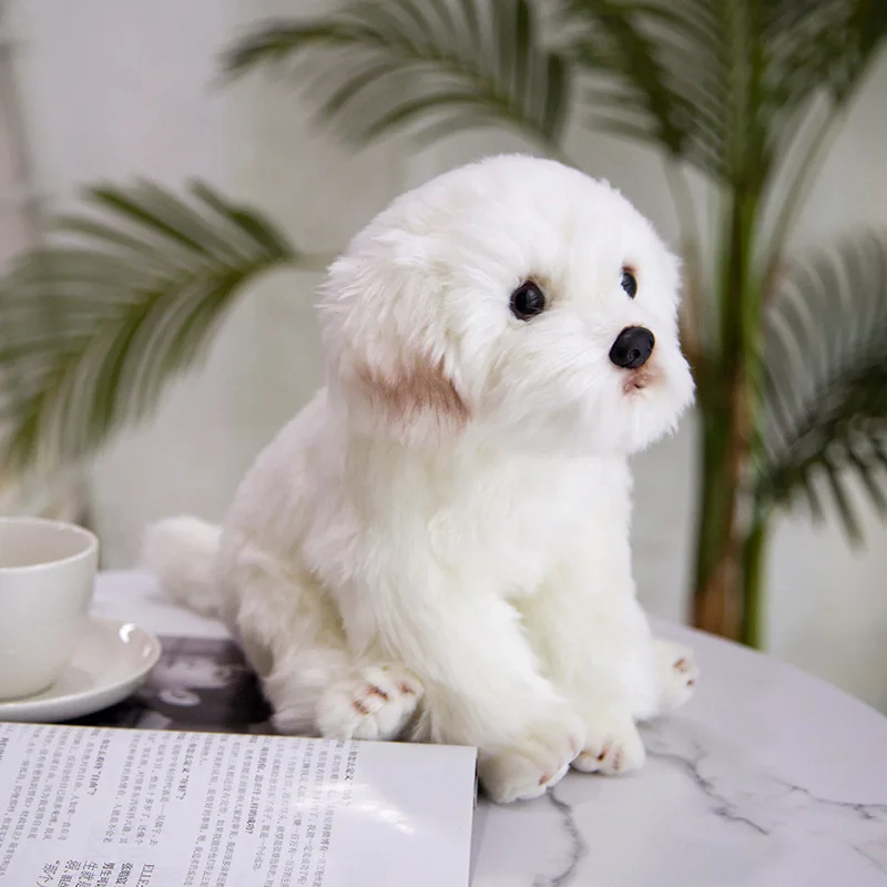 Play Real Life Bichon Frise Puppy Stuffed Teddy Dog Plush Toy Cute Simulation Pe - £65.58 GBP