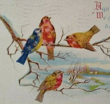 New Years Postcard Seated Birds Yellow Blue Red Embossed Vintage 600 BB Original - £5.05 GBP