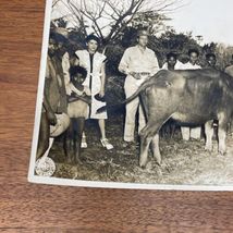 Item image 15