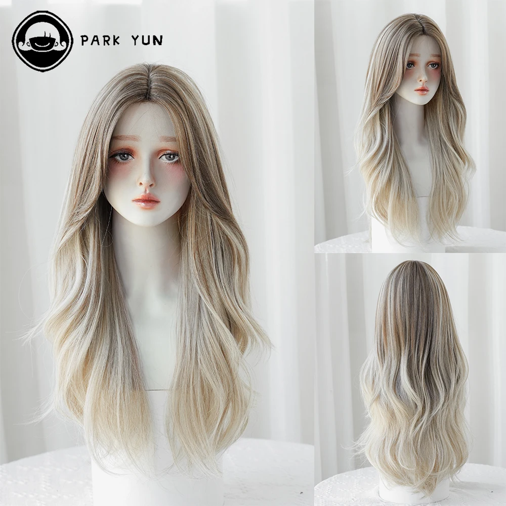 PARK YUN Long Wavy Grey brown gradient wigs for women Cosplay Daily Party - £22.39 GBP+